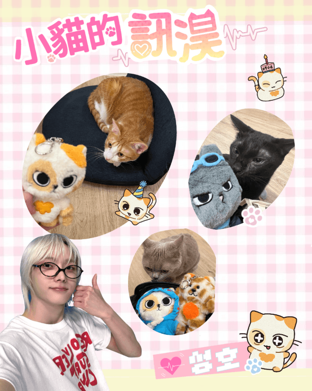 小貓的訊淏🐈⚡️